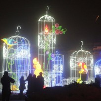 Kyiv hosts Chinese Lantern Festival (Photo, video)