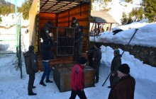 П'ятеро клишоногих з Донеччини тимчасово оселяться в реабілітацiйному центрі на Закарпатті (фото)