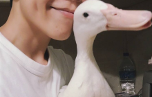 В Малайзии женщина вырастила из "ресторанного блюда" домашнего любимца (фото)