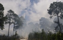 Лесные пожары в Чили уничтожили десятки домов