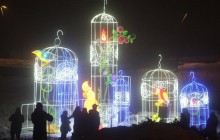 В Киеве стартовал фестиваль гигантских китайских фонарей (фото, видео)