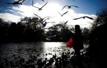 Прогноз погоды на 17 февраля: в Украине сухо и тепло