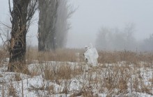Ukrainian soldier killed, another injured as their car hits landmine in Donbas