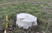 New environmental disaster threatening Crimea