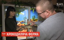 В Виннице супруги на ферме в торговом центре выращивают 10 видов крокодилов (видео)