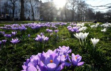 В Великобритании установилась аномально теплая погода