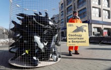 Леонардо Ди Каприо призвал освободить косаток и белух, которых держат в плену в России