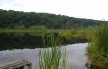 У Тернополі виявили забруднення озера нафтопродуктами