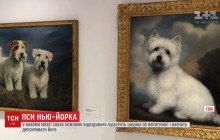 В Нью-Йорке открыли музей щенков (видео)