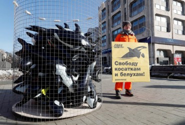 Леонардо Ді Капріо закликав звільнити косаток і білух, яких тримають у полоні в Росії