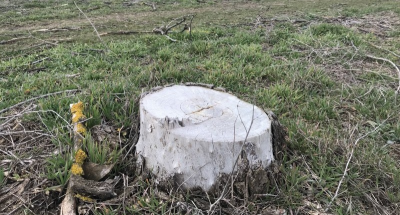 Valentyna Vasilyeva / Crimean Pravda