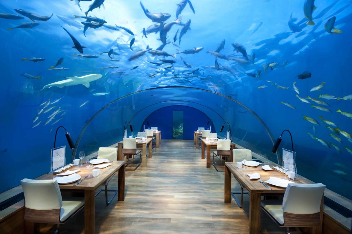 Ресторан под водой Submarino / Фото oceanografic.org