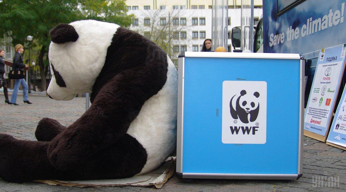 11 сентября свой день рождения отмечает Всемирный фонд дикой природы (WWF) / фото УНИАН