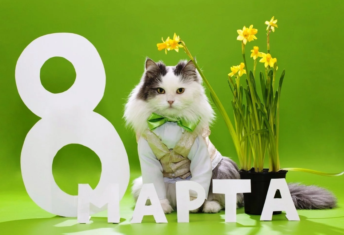 Поздравления с 8 Марта: лучшие стихи, пожелания, картинки