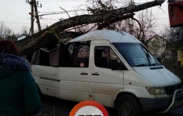 Постраждала одна з пасажирок маршрутки / Фото: dtp.kiev.ua Постраждала одна з пасажирок маршрутки / Фото: dtp.kiev.ua