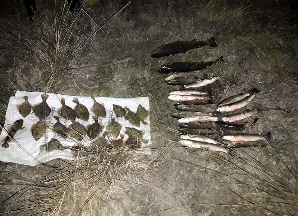 В результаті слідчих дій виявлено майже 3,5 тонн риби / фото dpsu.gov.ua В результаті слідчих дій виявлено майже 3,5 тонн риби / фото dpsu.gov.ua