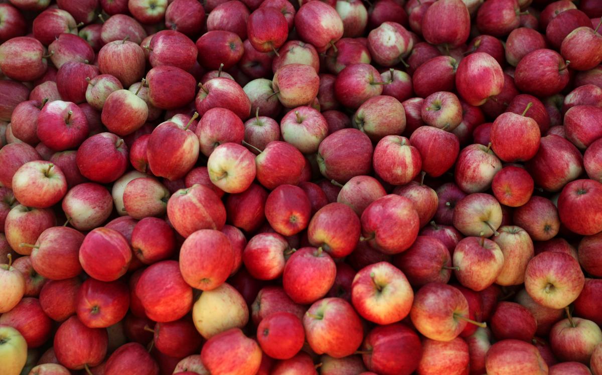 Украинские яблоки могут стоить до 70 гривень за килограмм / фото REUTERS
