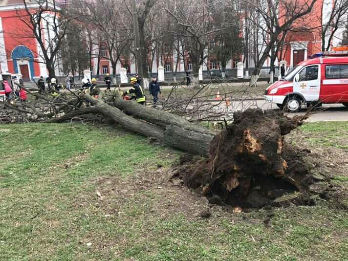 фото: група в Facebook Миколаїв оперативний фото: група в Facebook Миколаїв оперативний