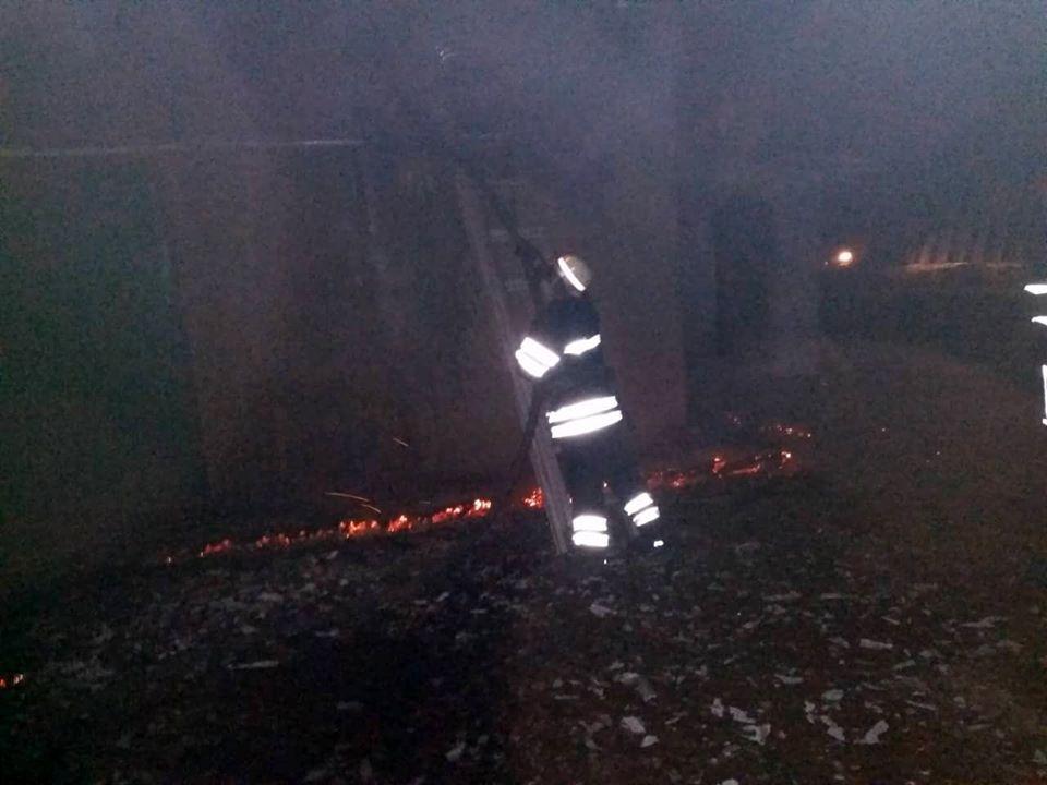 При ликвидации пожара в свинарнике пожарные спасли 350 поросят / фото ГСЧС При ликвидации пожара в свинарнике пожарные спасли 350 поросят / фото ГСЧС