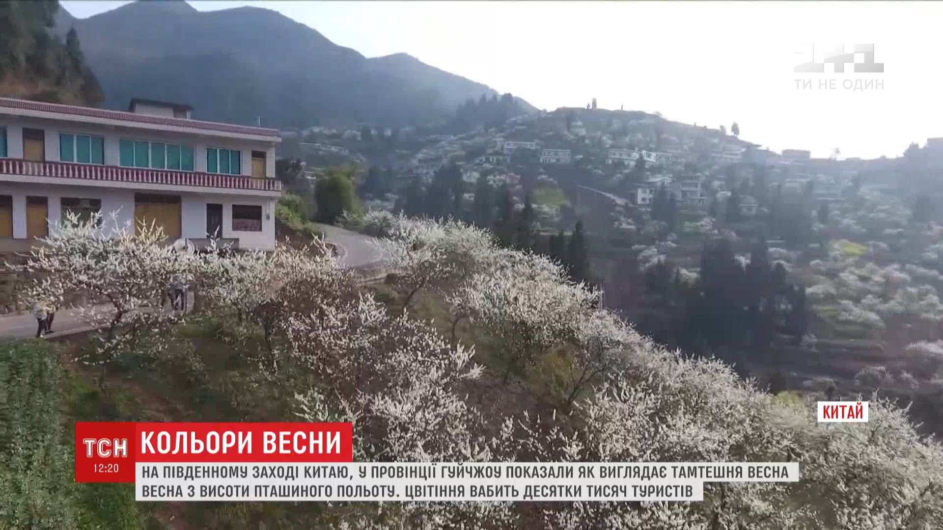 Цветение растений и плодовых деревьев в самом разгаре / скриншот Цветение растений и плодовых деревьев в самом разгаре / скриншот