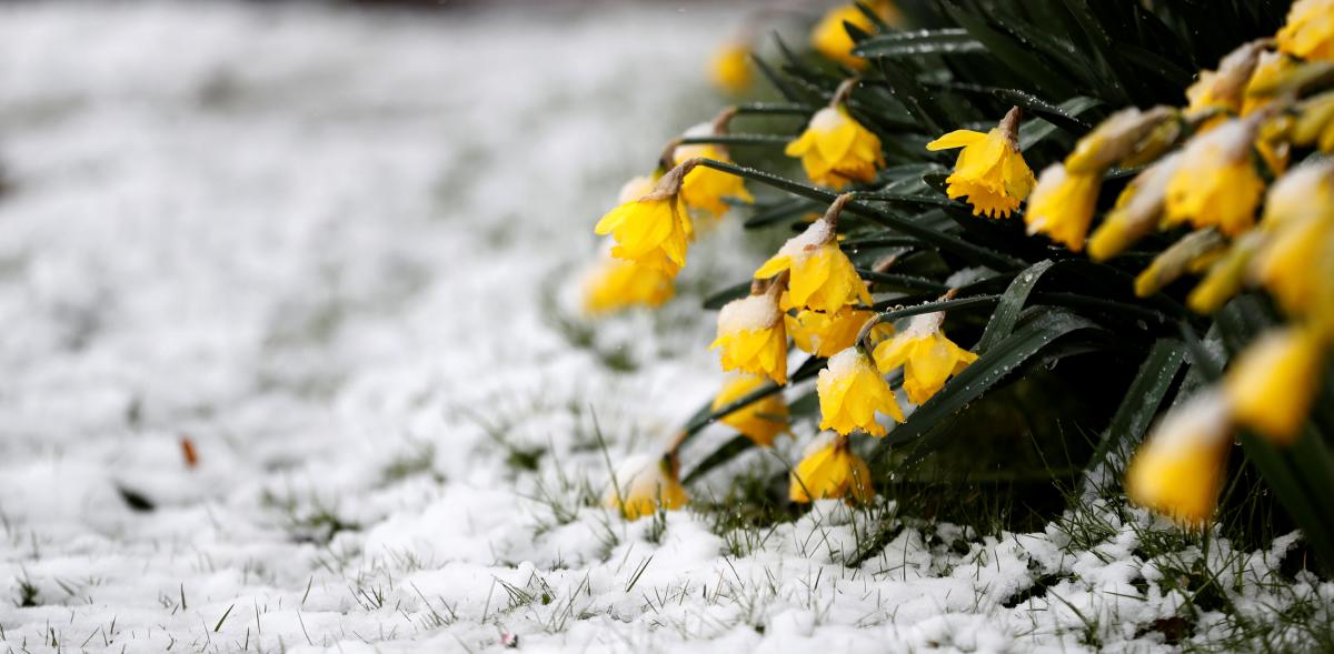 Иллюстрация / REUTERS