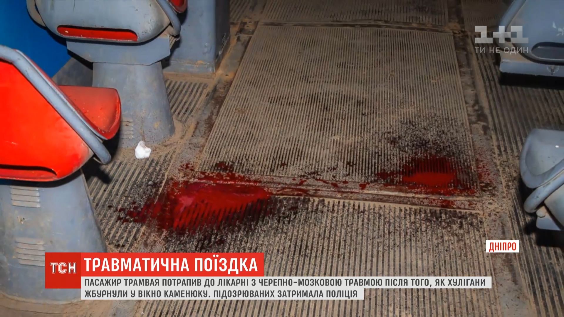 скріншот скріншот
