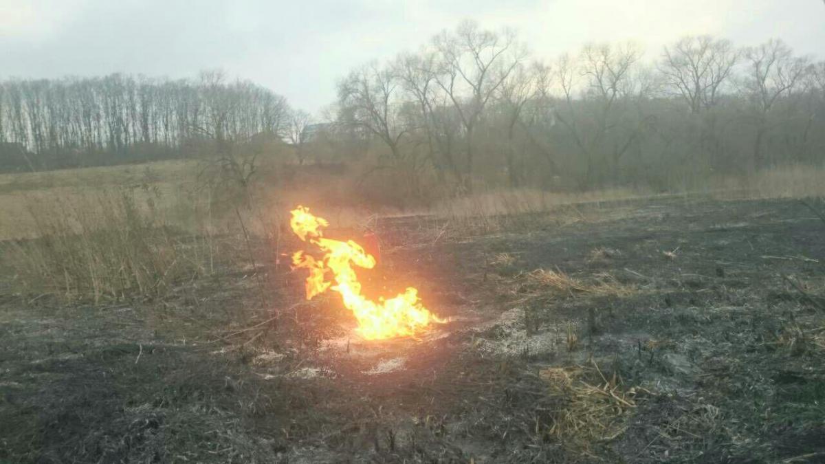 фото: Центр пропаганди територіального управління ДСНС в Тернопільській області фото: Центр пропаганди територіального управління ДСНС в Тернопільській області