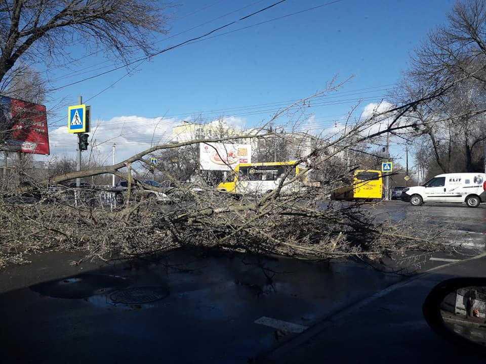 В Чернигове ветром сносит крыши домов, агитационным стендом травмирован пенсионер / фото Максим Богомаз / Facebook В Чернигове ветром сносит крыши домов, агитационным стендом травмирован пенсионер / фото Максим Богомаз / Facebook