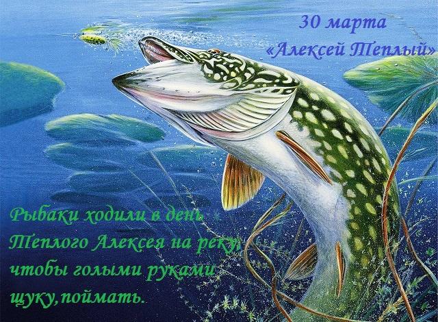 Теплый Алексей 2019: история праздника, приметы и чего нельзя делать Теплый Алексей 2019: история праздника, приметы и чего нельзя делать