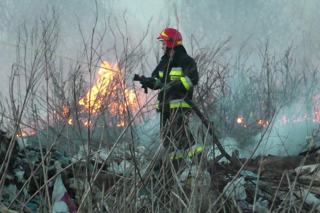 Пожежу гасять другий день / Фото cn.dsns.gov.ua