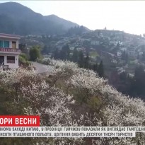 Краски китайской весны показали с высоты птичьего полета (видео)