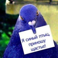 Международный день счастья - история праздника, поздравления и картинки
