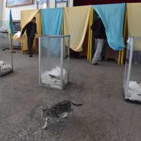 Психологи объяснили волну хейтерства в соцсетях из-за результатов выборов (видео)
