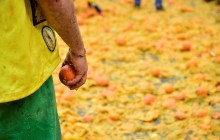 В Іспанії вироблятимуть електроенергію з апельсинів