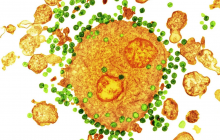 Стало відомо про третього пацієнта, який позбувся ВІЛ