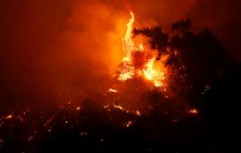 Лесные пожары на севере Испании взяли под контроль