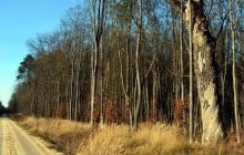 На Львовщине обустроят туристический веломаршрут