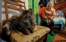 Прем'єр про пенсії: вони зростуть, але не значно