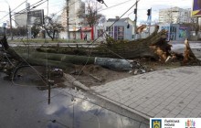 Львовом пронісся шквальний вітер: зірвав дахи, повалив дерева та електричні стовпи (фото, відео)