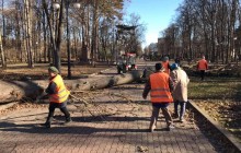Пориви до 30 м/с: в Україні сильний вітер повалив дерева та позривав дахи, є перша жертва (фото, відео)