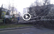 Повалені дерева, зірвані дахи, потрощені авто та перші людські жертви: наслідки шквального вітру в Україні (відео)