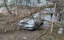 У Тернополі через пориви вітру на жінку впав рекламний щит, потерпілу госпіталізовано (фото)