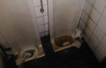 В сети показали ужасные условия в туалетах на украинской границе (фото)