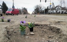 До приїзду Порошенка на Закарпатті у ями на дорогах "висадили" квіти (фото)