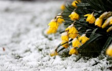 От заморозков до +20°: сегодня украинцев ожидают температурные качели (карта)