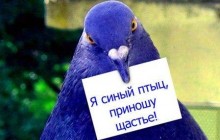 Международный день счастья - история праздника, поздравления и картинки