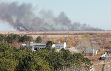 На Одещині у лісництві спалахнула масштабна пожежа, в гасінні задіяна авіація (фото)