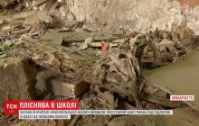На Прикарпатті півтисячі учнів не можуть навчатись через грибок, який "захопив" школу (відео)