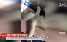 В Одесской области 11-месячный младенец упал в ведро с кипятком (видео)