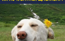 Супрун рассказала, как чувствовать себя счастливым